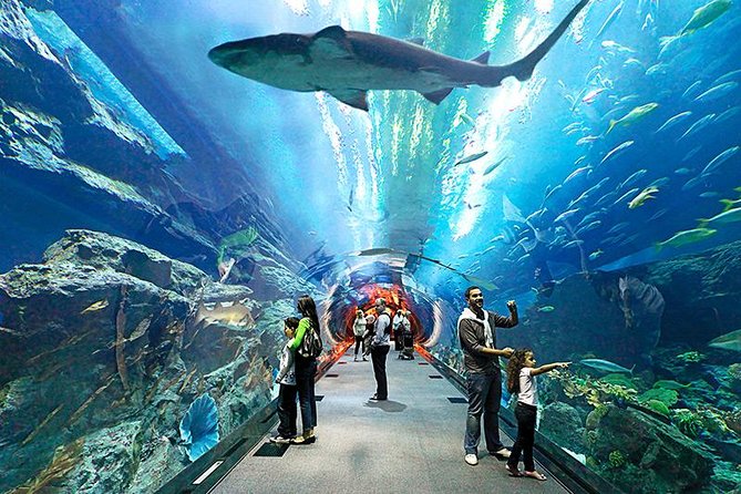 Underwater World